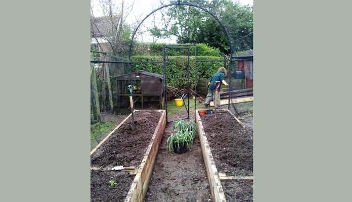 Fruit Cage Steel Roman Arch 2 During