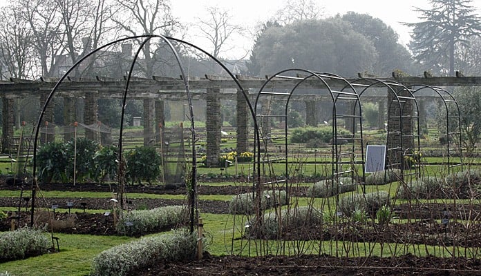 Harrod Roman Fruit Tree Gazebo, Kew on a Plate - Greater London