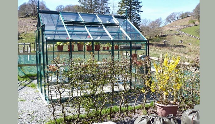 8ft x 10ft Pine Green Greenhouse, Mrs G - Gwynedd