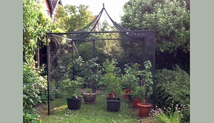 2.5m x 2.5m Peak Roof Steel Fruit Cage, Dr S - West Sussex