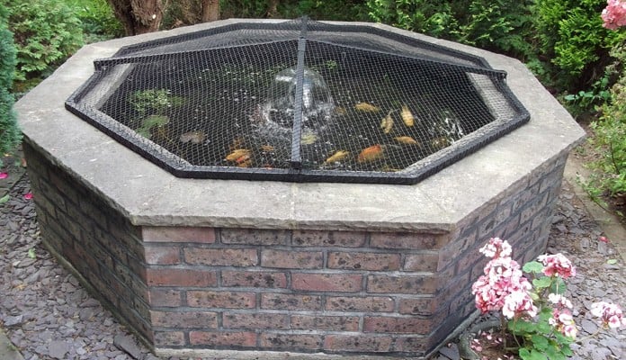 Pond Cover Raised Steel Angled After Pond Cover Raised Steel Angled After