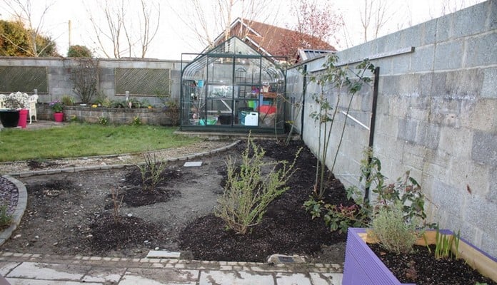 Fruit Cage Steel Angled Sloped Before, Mr M - Ireland