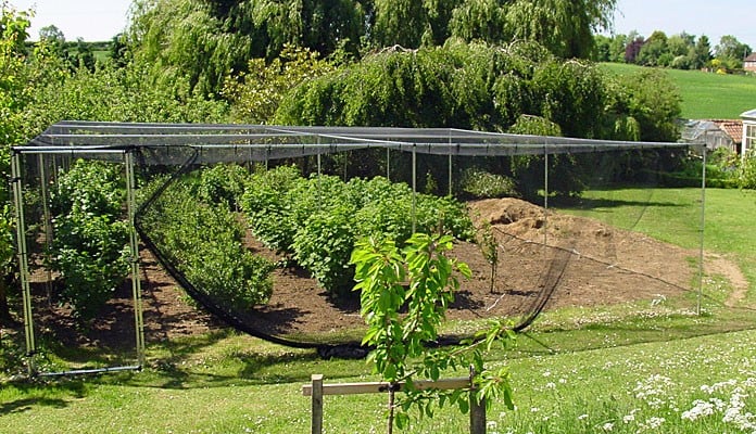 14m x 7m Aluminium Fruit Cage, Mr Butterfield - Lincolnshire