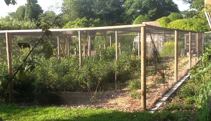 14.4m x 7.2m Timber Fruit Cage, Mr Rochez - Chichester