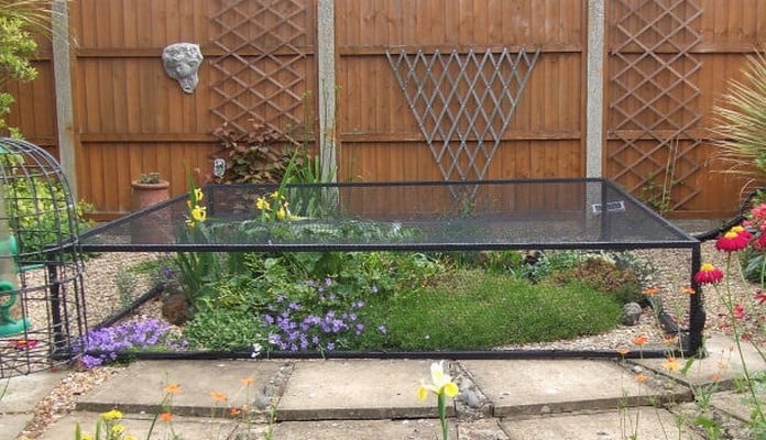 2.5m x 2.5m Raised Steel Pond Cover, Mrs Pugh - Kings Lynn