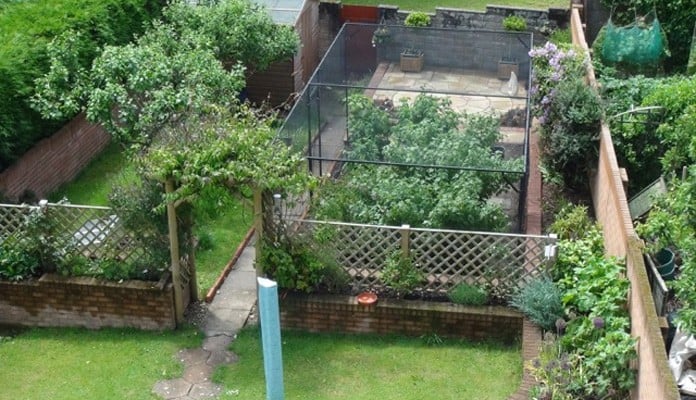 Bespoke Steel Fruit Cage