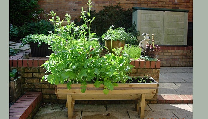 4ft Micro Manger, Mrs Hadley - Northamptonshire 4ft Micro Manger, Mrs Hadley - Northamptonshire