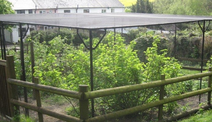 Bespoke Sloped Steel Fruit Cage