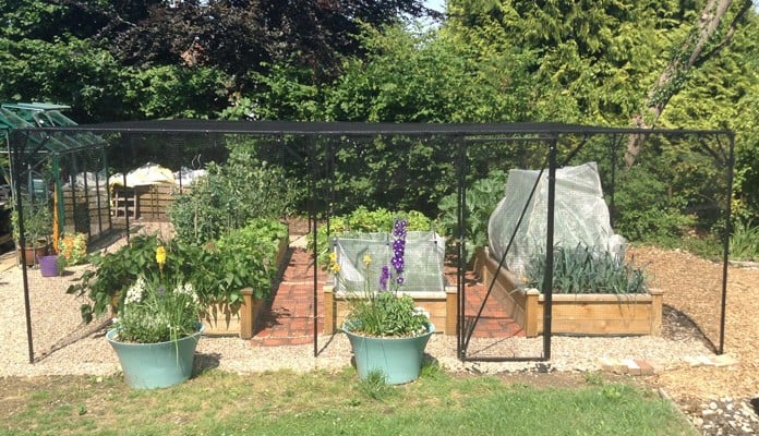 6m x 6m Steel Fruit Cage, Mrs Roberts - Buckinghamshire 6m x 6m Steel Fruit Cage, Mrs Roberts - Buckinghamshire