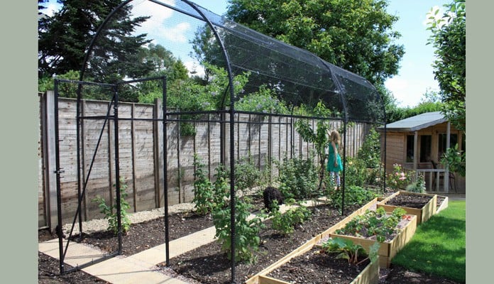 6m Roman Arch Fruit Cage, Mrs Wilson - Cornwall 6m Roman Arch Fruit Cage, Mrs Wilson - Cornwall