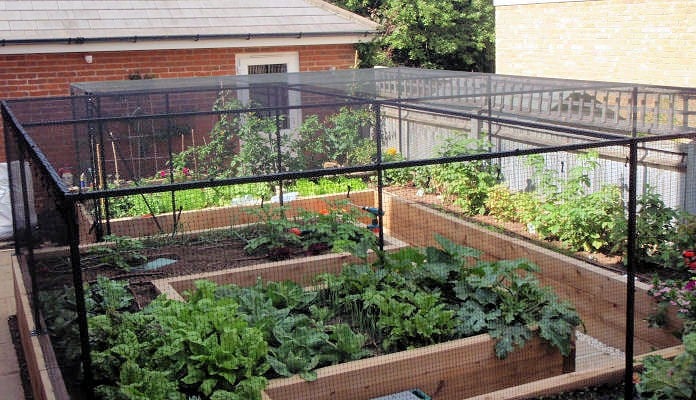 Bespoke walk in steel cage to fit an existing raised bed (after)