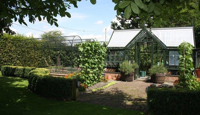 Roman Arch Fruit Cage - Colour matched to Greenhouse Roman Arch Fruit Cage - Colour matched to Greenhouse