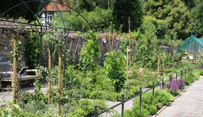 Step Over Support and Dome Fruit Cage, Lubera Germany