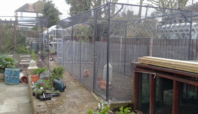 2m x 6m Steel Poultry Cage, Mr Harvey - Essex