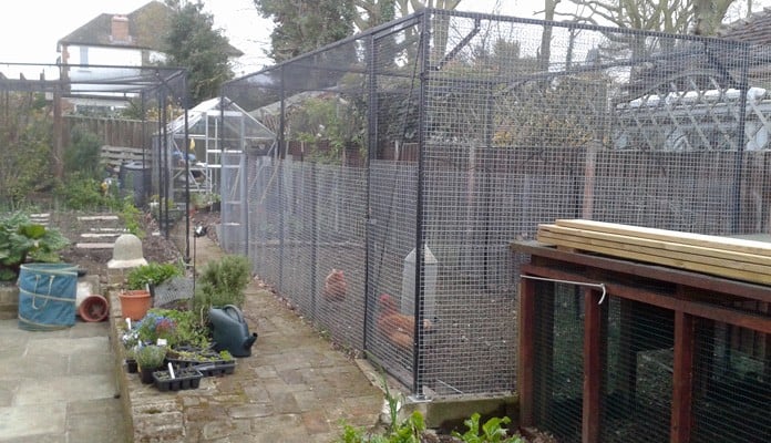 2m x 6m Steel Poultry Cage, Mr Harvey - Essex 2m x 6m Steel Poultry Cage, Mr Harvey - Essex