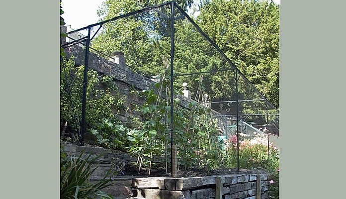 Fruit Cage Showing Slope 2013