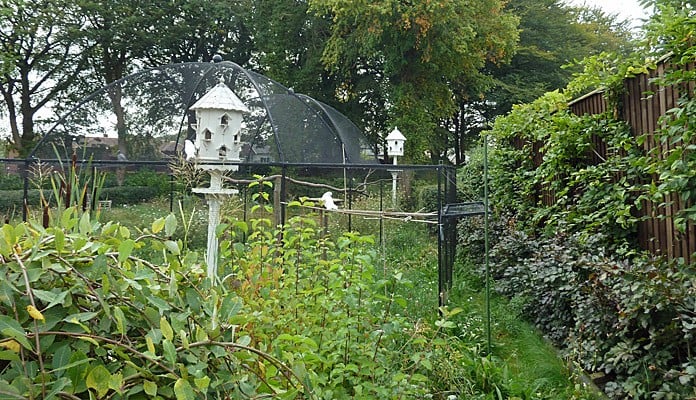 Dovecote 3