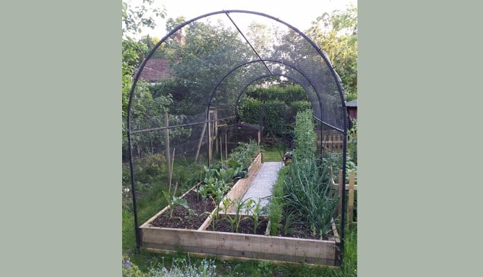 Fruit Cage Steel Roman Arch 2 After