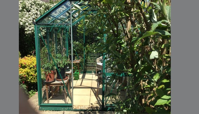 6ft x 8ft Pine Green Greenhouse, Mrs Thomas - Swansea 6ft x 8ft Pine Green Greenhouse, Mrs Thomas - Swansea