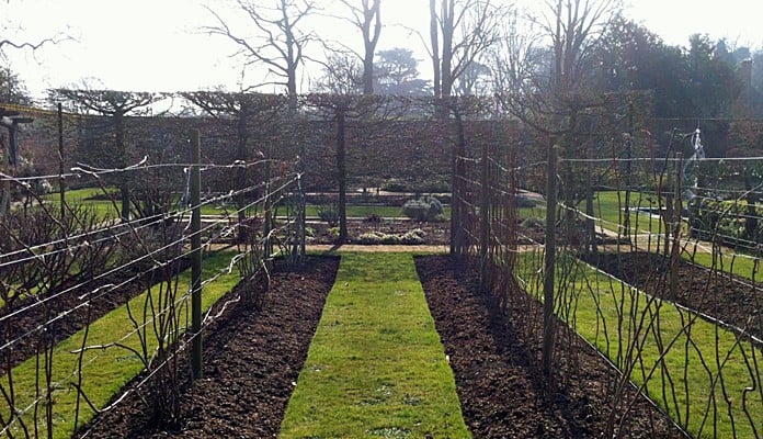 Walled Kitchen Garden Before 3