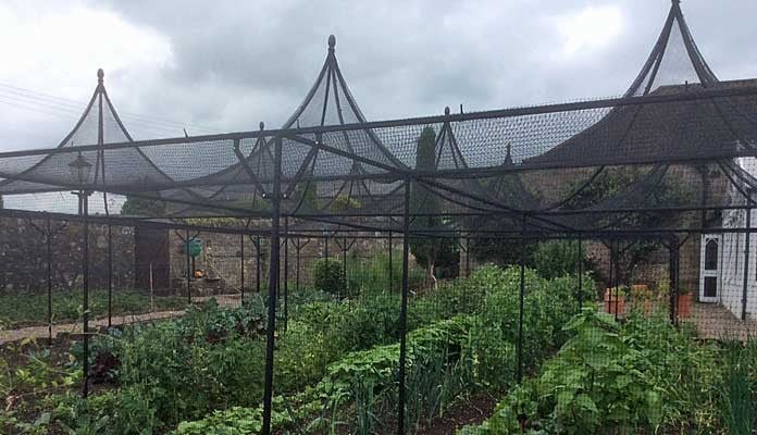 Fruit Cage Steel Peaks with Cut Out 3