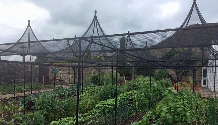 Fruit Cage Steel Peaks with Cut Out 3 Fruit Cage Steel Peaks with Cut Out 3