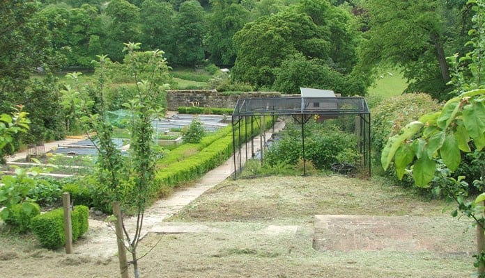 Stepped Fruit Cage Stepped Fruit Cage