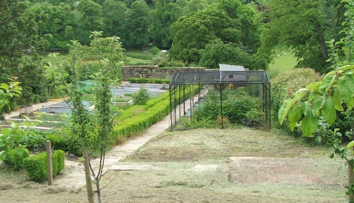 Stepped Fruit Cage