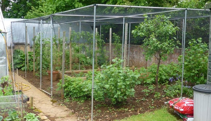 8m x 5m Aluminium Fruit Cage, Mr Prentice - Banbury