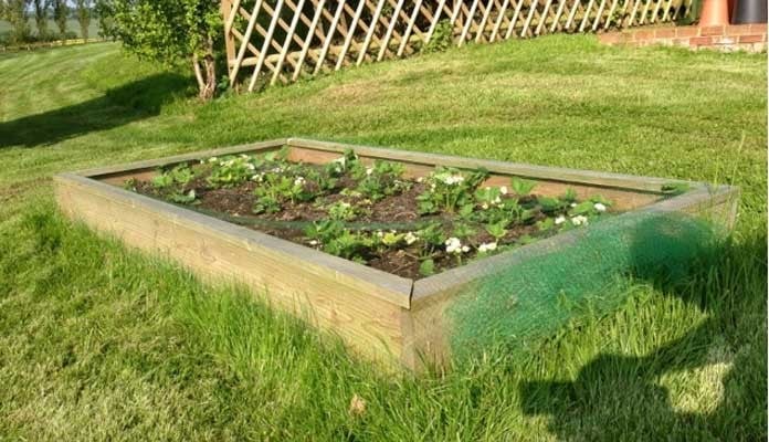 2ft x 8ft Standard Raised Beds, Mr B - Kent