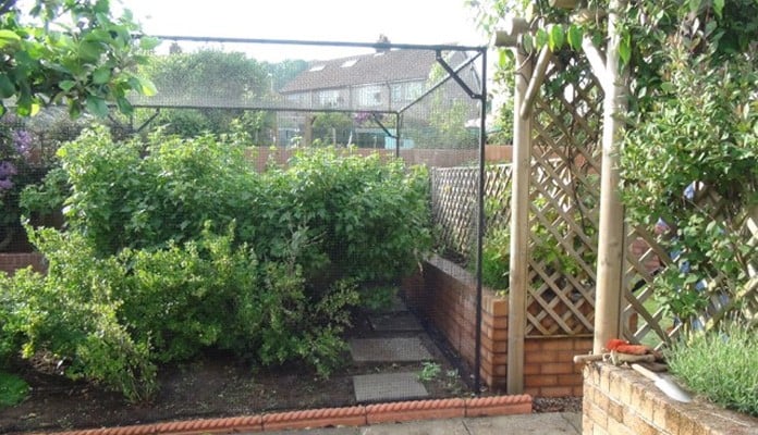 Bespoke Steel Fruit Cage