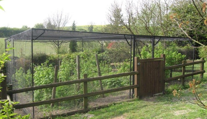 Bespoke Sloped Steel Fruit Cage