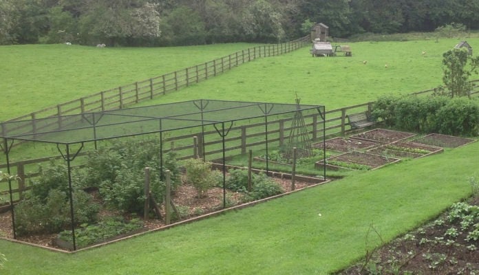 7m x 4.5m Steel Fruit Cage, Mr Davis - North Yorkshire 7m x 4.5m Steel Fruit Cage, Mr Davis - North Yorkshire