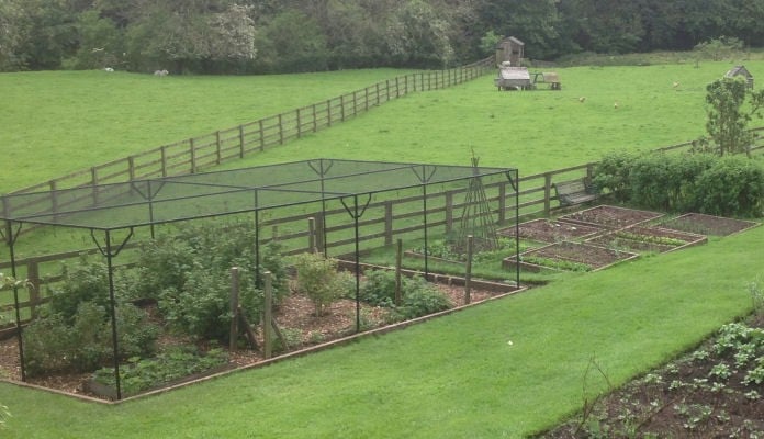 7m x 4.5m Steel Fruit Cage, Mr Davis - North Yorkshire