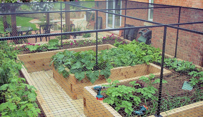 Bespoke walk in steel cage to fit an existing raised bed (after)