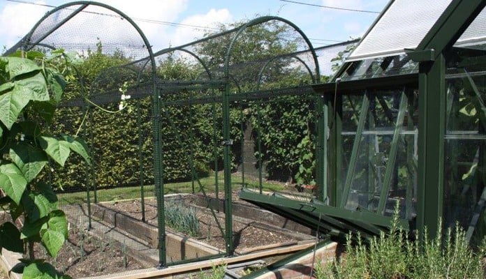 Roman Arch Fruit Cage - Colour matched to Greenhouse