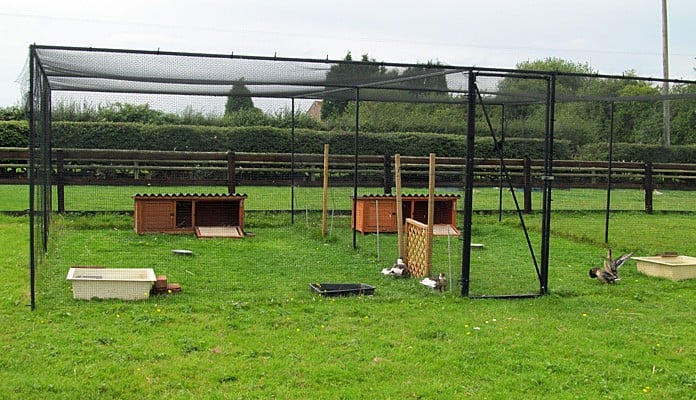 6m x 7m Steel Poultry Cage, Mrs  Green - Leicestershire