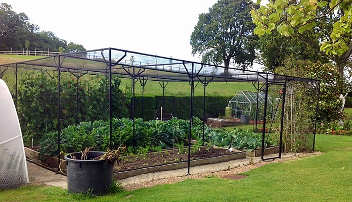 Fruit Cage Steel Sloped 4