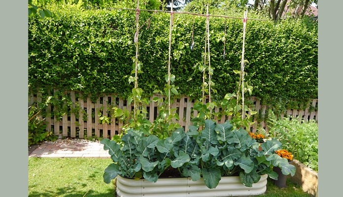 GPL-118 4 in 1 Modular Metal Raised Bed, Mrs Kenyon - NottinghamshireSouth 