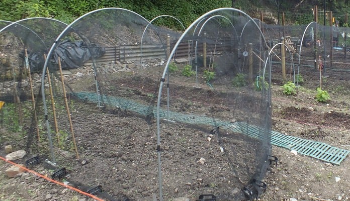 Garden Netting Hoops and Extension Kit, Mrs James - Kent