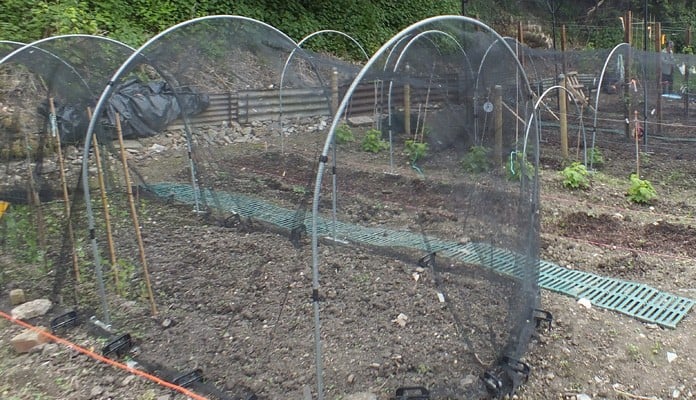 Garden Netting Hoops and Extension Kit, Mrs James - Kent Garden Netting Hoops and Extension Kit, Mrs James - Kent