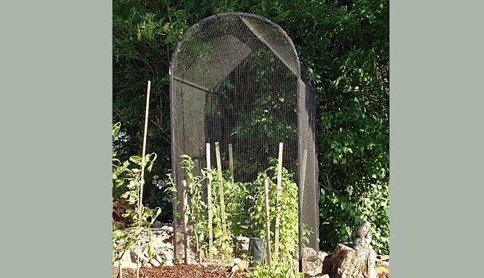 3m Corridor Cage, Mrs Halstead Geary - North Yorkshire