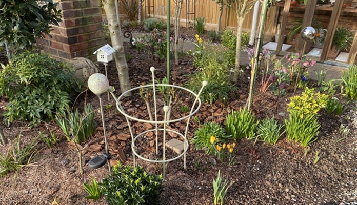 Trumpet Plant Support Lichen Green, Mr Carter - Essex Trumpet Plant Support Lichen Green, Mr Carter - Essex