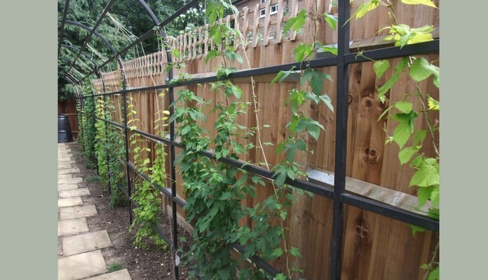 Roman Pergola with Side Access Detail