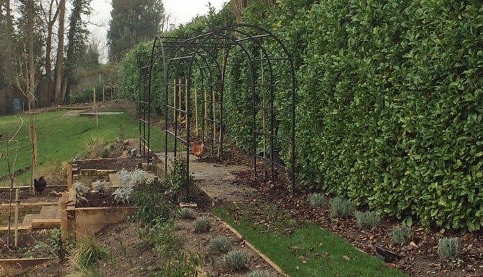 Roman Bisecting Pergola Above Ground Winter 3