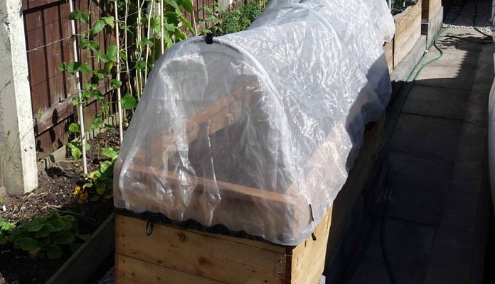 2ft x 6ft Allotment Raised Beds, Mr Ellis - Stockton-on-Tees 2ft x 6ft Allotment Raised Beds, Mr Ellis - Stockton-on-Tees