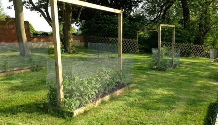 2ft x 8ft Standard Raised Beds, Mr B - Kent 2ft x 8ft Standard Raised Beds, Mr B - Kent