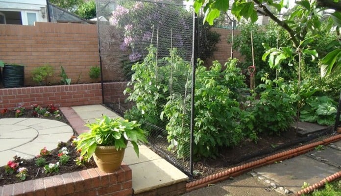 Bespoke Steel Fruit Cage