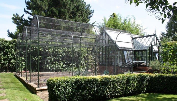 Roman Arch Fruit Cage - Colour matched to Greenhouse