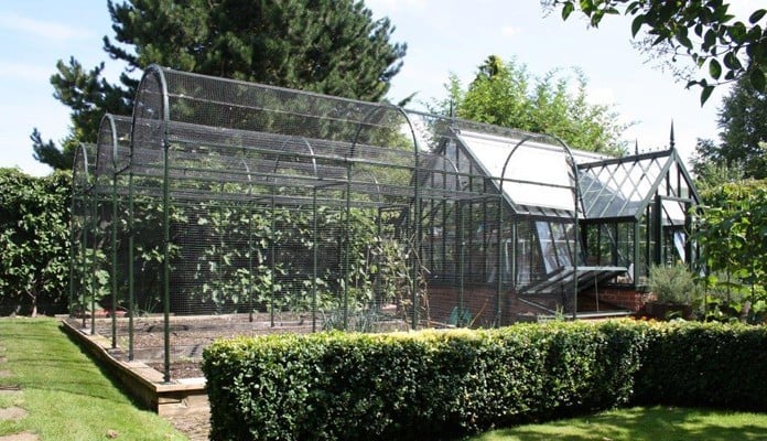 Roman Arch Fruit Cage - Colour matched to Greenhouse Roman Arch Fruit Cage - Colour matched to Greenhouse